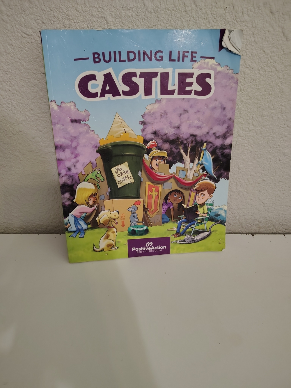 Building Life Castles: Positive Action Bible Curriculum Book Paperback